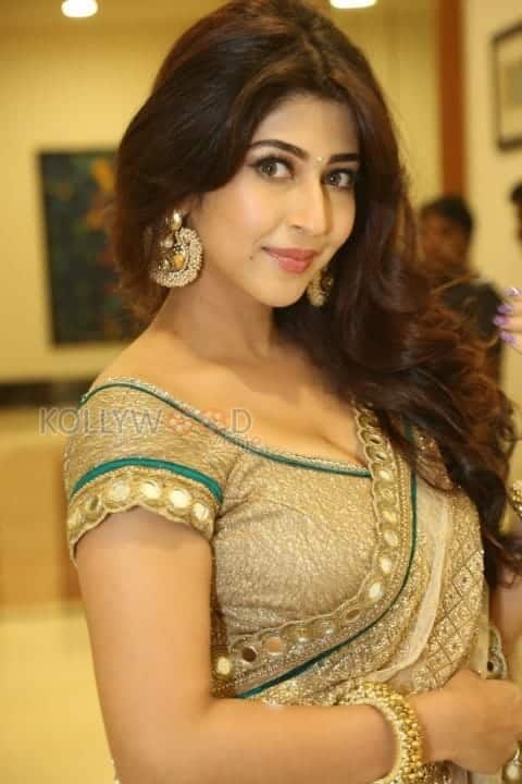 Actress Sonarika Spicy Saree Cleavage Photos 08