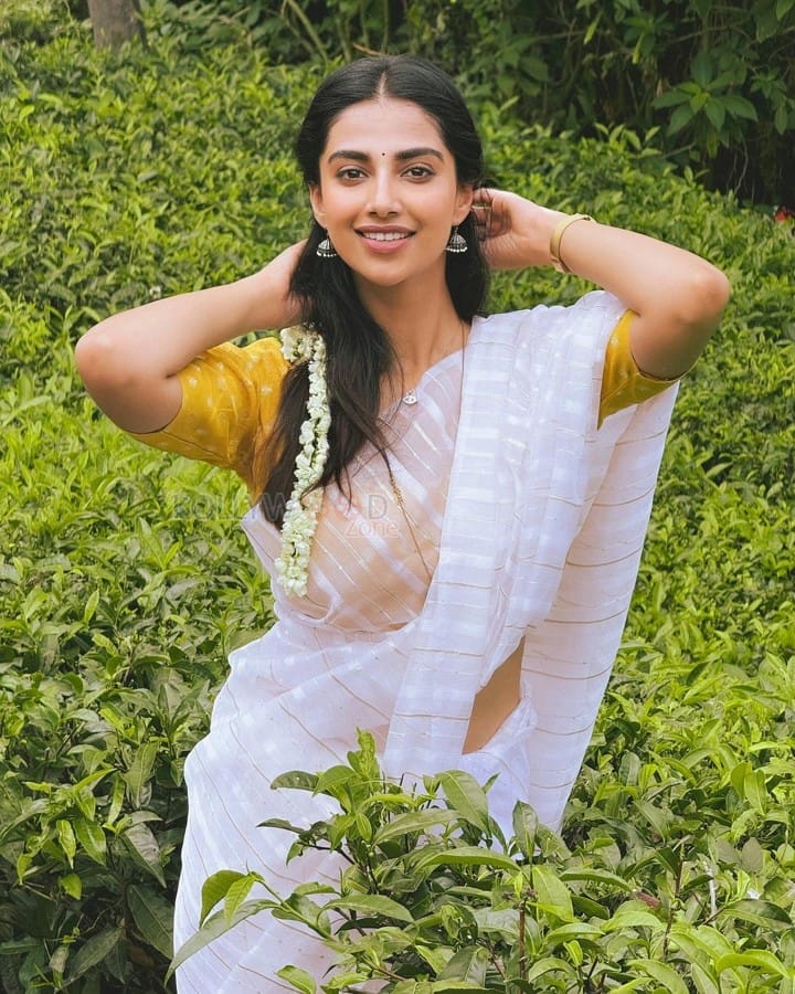 Beautiful Meenakshi Chaudhary in a White Saree Pictures 03