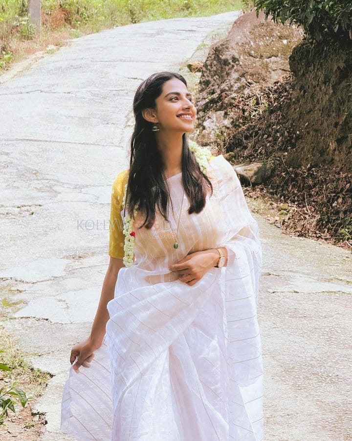 Beautiful Meenakshi Chaudhary in a White Saree Pictures 04