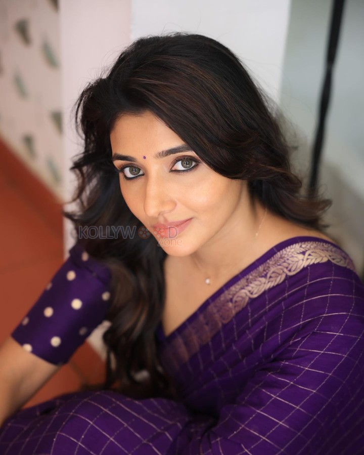 Birthmark Actres Mirnaa Menon in a Purple Saree Photos 01