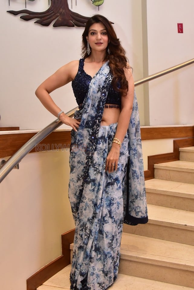 Heroine Aditi Gautam at Athidhi Pre Release Event Photos 07