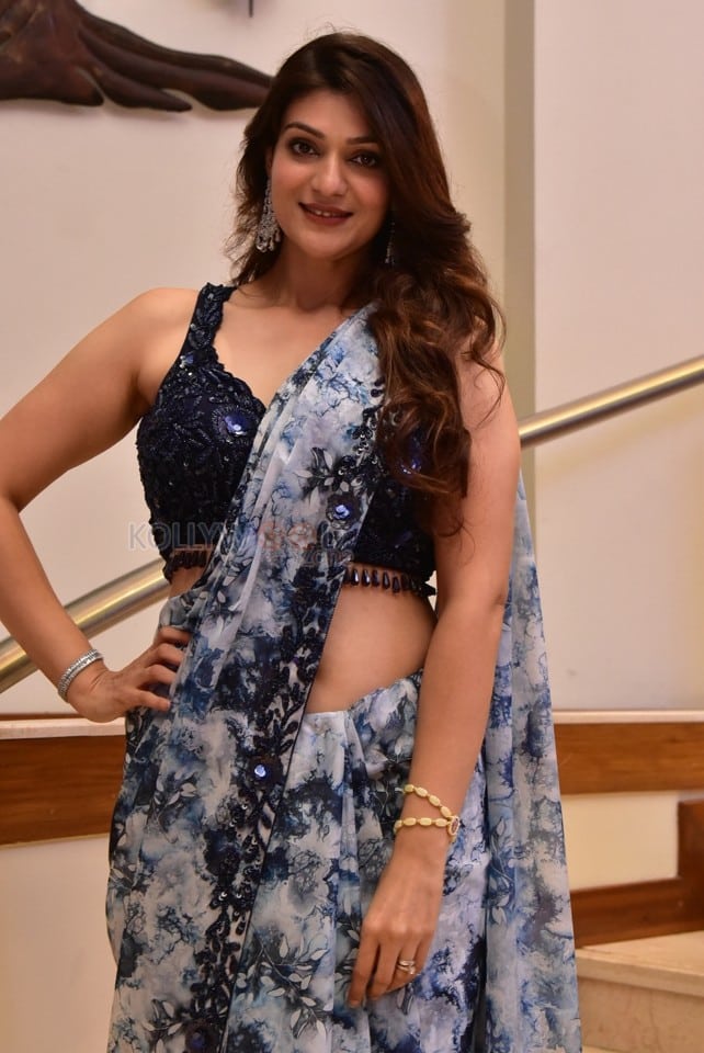 Heroine Aditi Gautam at Athidhi Pre Release Event Photos 15