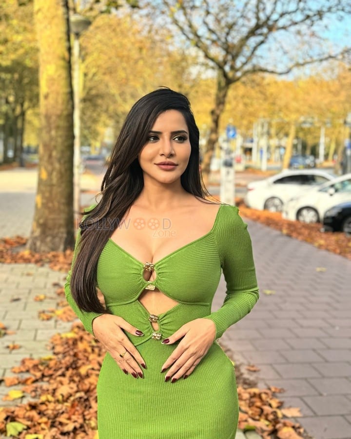Yevam Actress Ashu Reddy Hot Cleavage in a Green Dress Photos 04