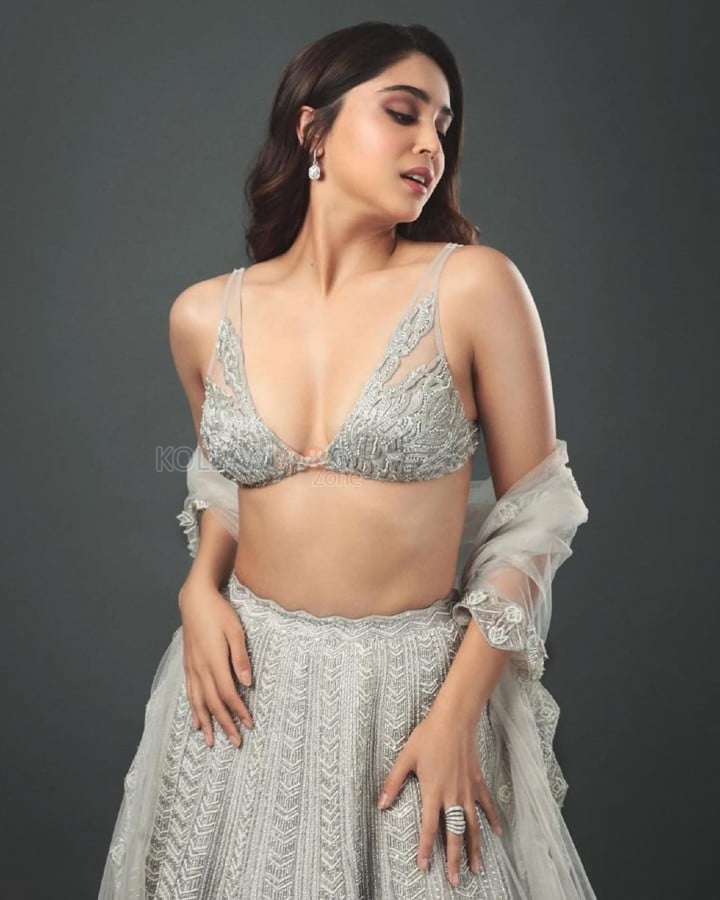 Hot Sharvari Wagh in a Silver Grey Lehenga with a Cleavage Bralette and Sheer Dupatta Photos 03