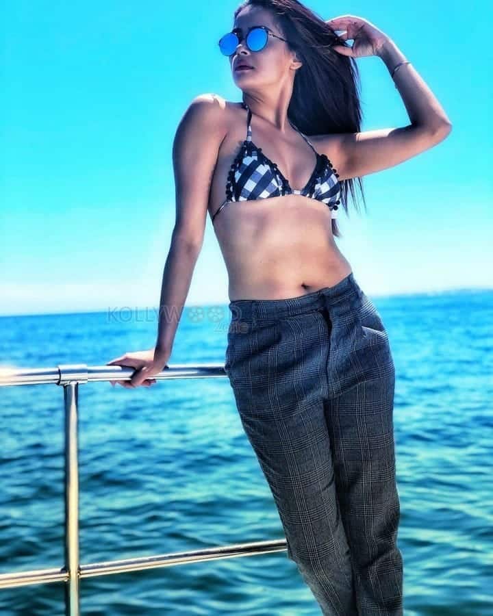 Surveen Chawla Bikini Photos 01