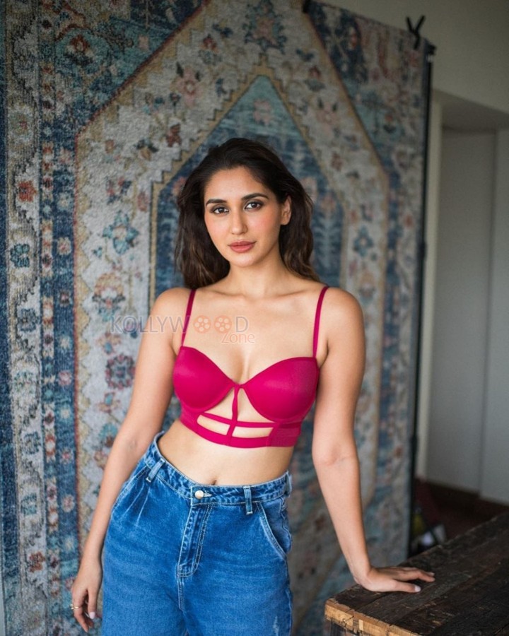 Tempting Nikita Dutta in a Pink Bralette and Denim Pant Pictures 05