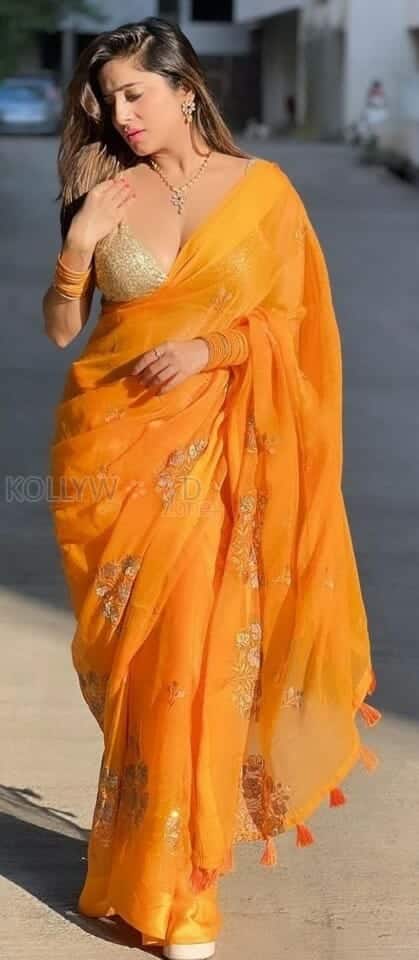 Kate Sharma in a Revealing Orange Saree Photos 01