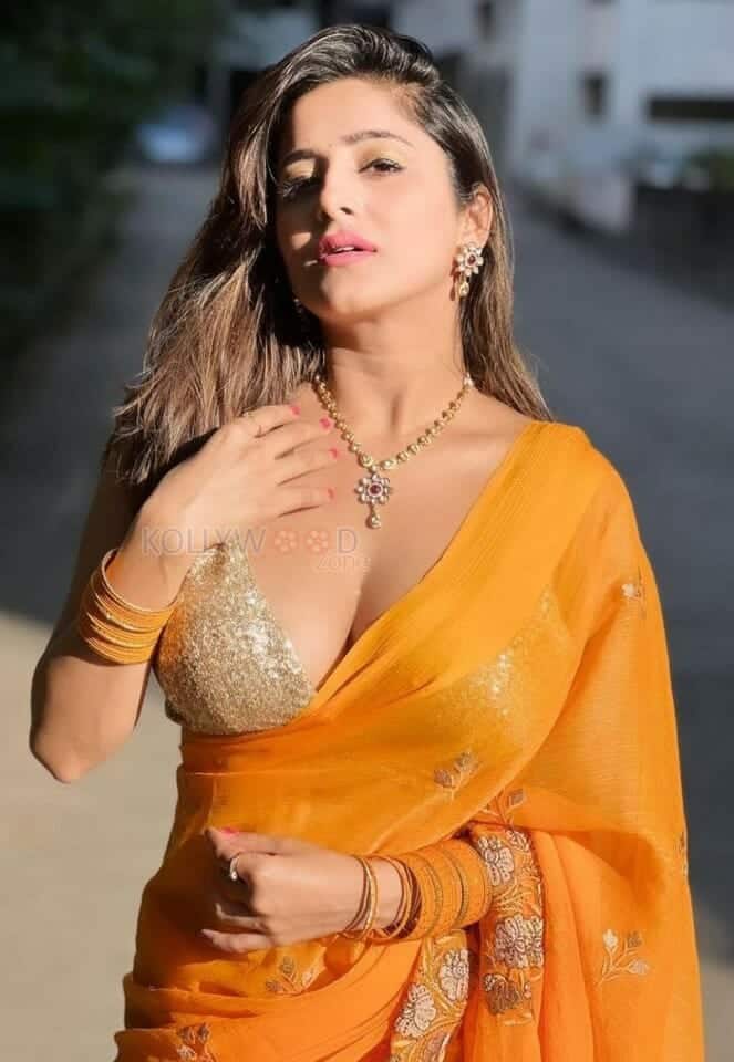 Kate Sharma in a Revealing Orange Saree Photos 02