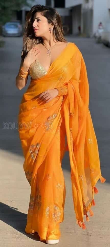 Kate Sharma in a Revealing Orange Saree Photos 03