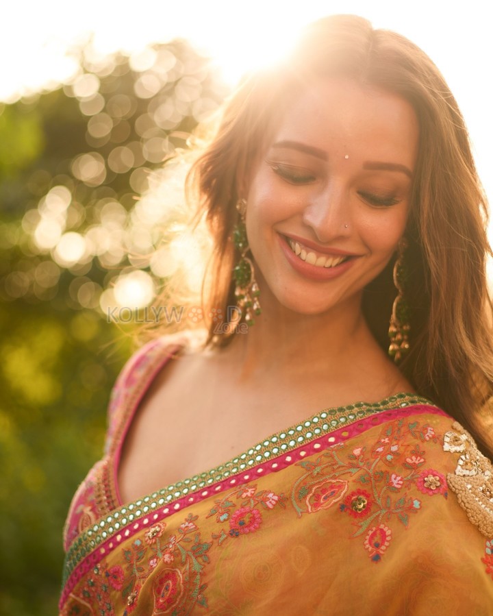 Dream Girl Tripti Dimri in a Yellow Embroidered Saree with a Pink Embroidered Blouse Photos 01