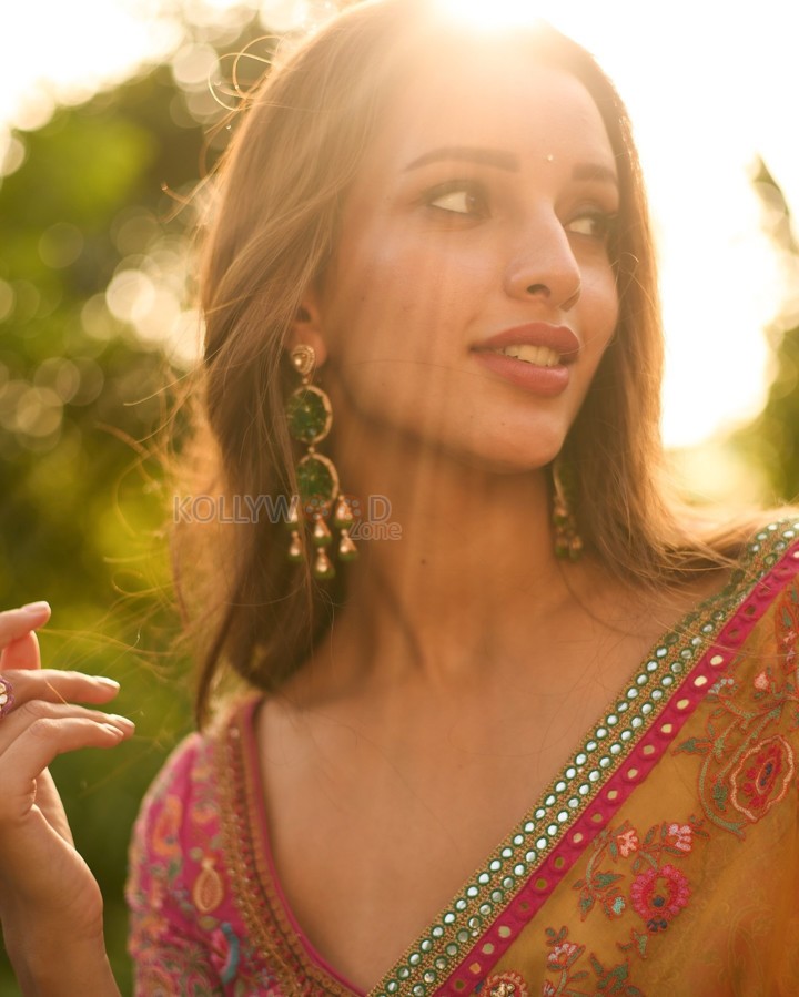 Dream Girl Tripti Dimri in a Yellow Embroidered Saree with a Pink Embroidered Blouse Photos 05