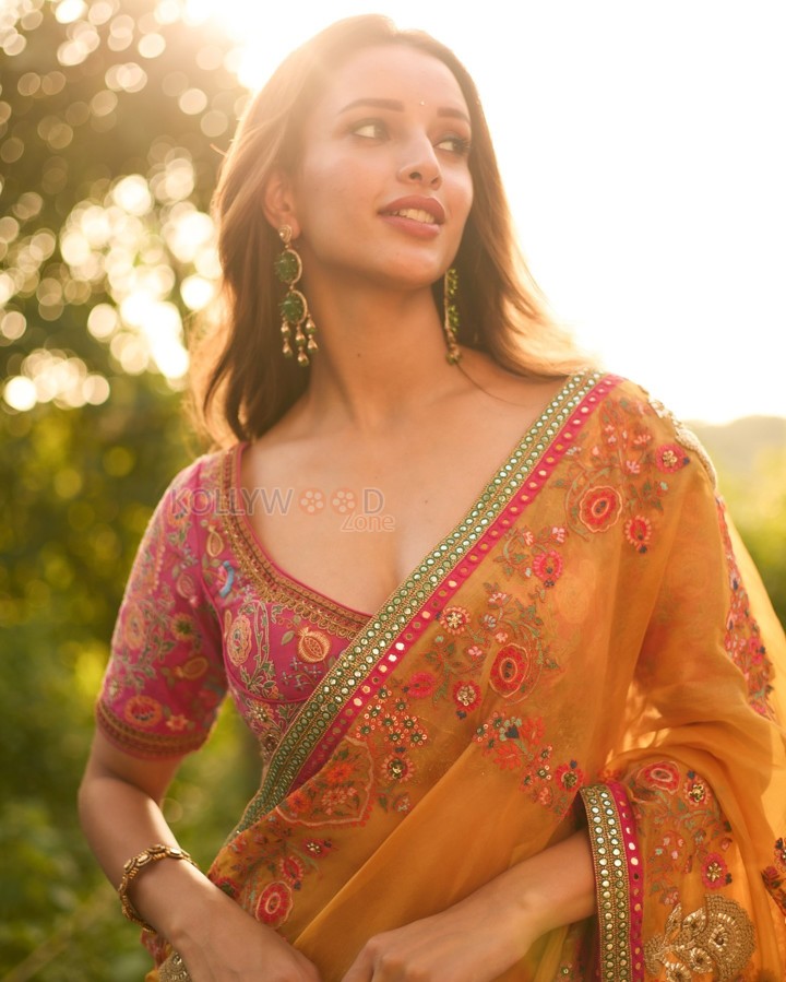 Dream Girl Tripti Dimri in a Yellow Embroidered Saree with a Pink Embroidered Blouse Photos 09