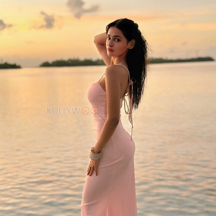 Tempting Prakriti Pavani in a Pink Sleeveless Bodycon Dress at the Beach Photos 01