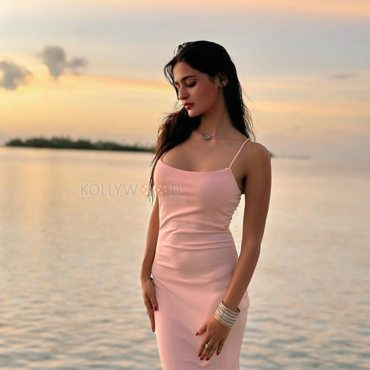 Tempting Prakriti Pavani in a Pink Sleeveless Bodycon Dress at the Beach Photos 03