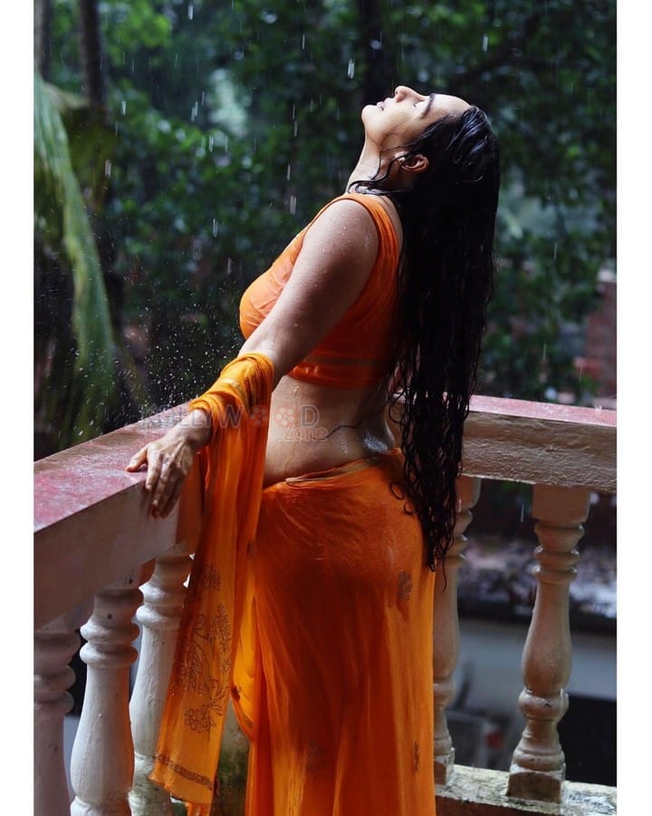 Seductively Erotic Megha Shukla in an Orange Saree Wet Photos 01