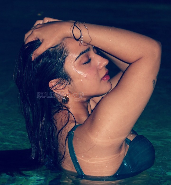 Sexy Roshni Walia Bikini Photos 02