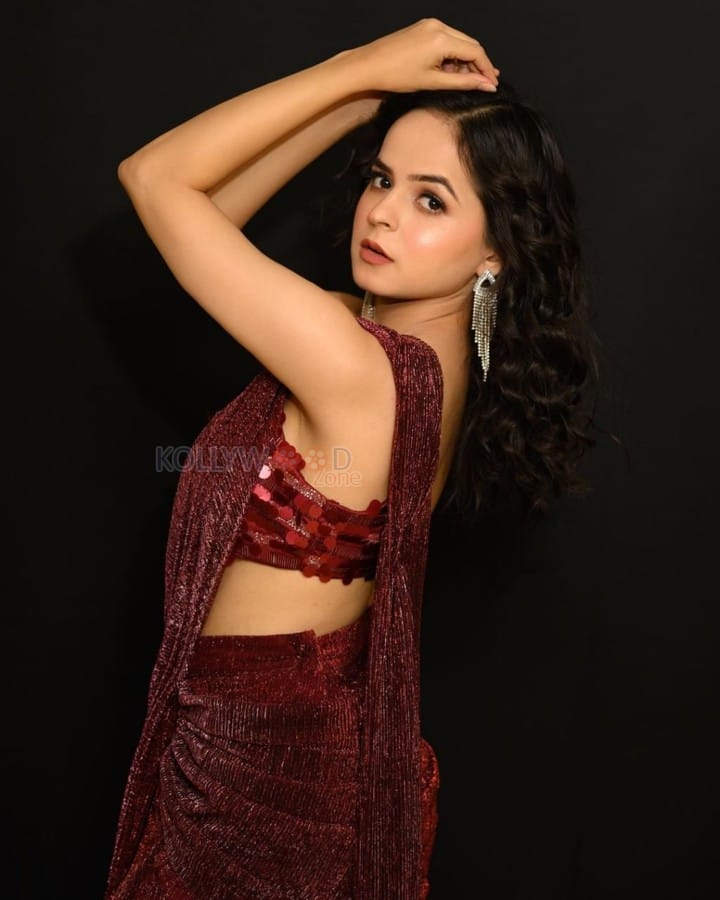 Actress Palak Sindhwani in a Deep Red Embroidered Saree Photos 03