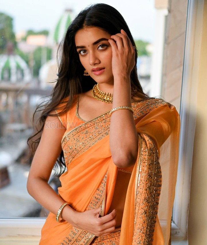 Mr Bachchan Heroine Bhagyashri Borse in an Orange Saree Photos 03