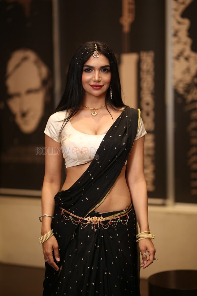 Actress Kriti Verma at O Andala Rakshasi Pre Release Event Photos 14