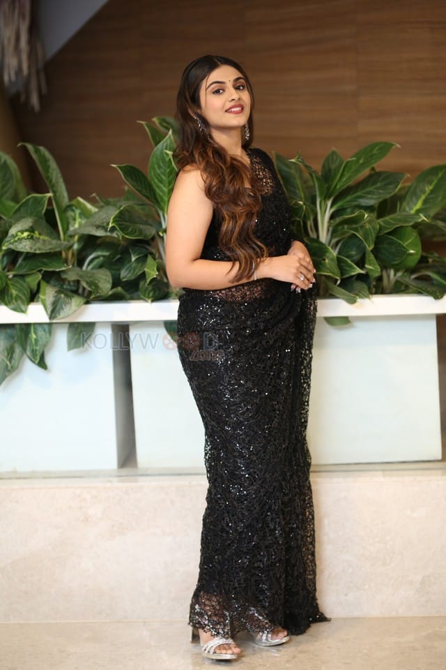 Actress Nayan Sarika at AAY Pre Release Event Pictures 06