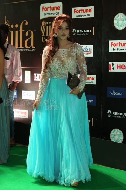 Actress Angela Krislinzki At Iifa Utsavam 2017 Photos 03