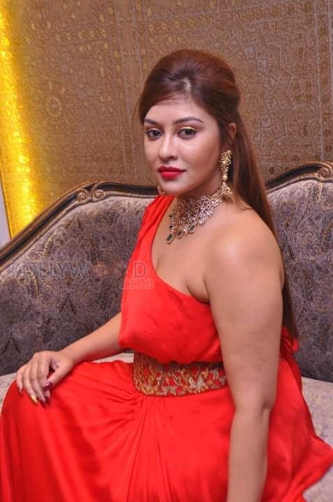 Actress Payal Ghosh Stills 01