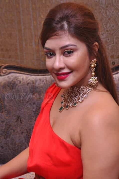 Actress Payal Ghosh Stills 02