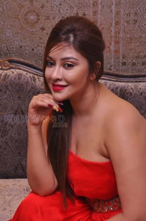 Actress Payal Ghosh Stills 09