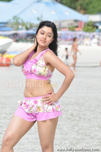 Harika Payal Ghosh Hot Pictures 12