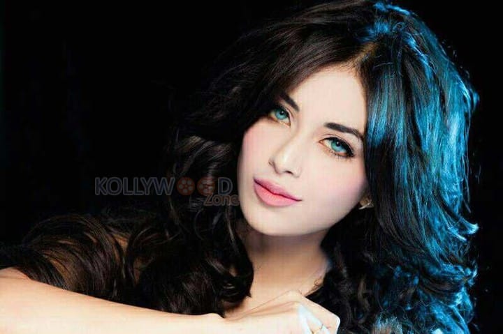 Indian Polish Actress Angela Krislinzki Hot Photos 14