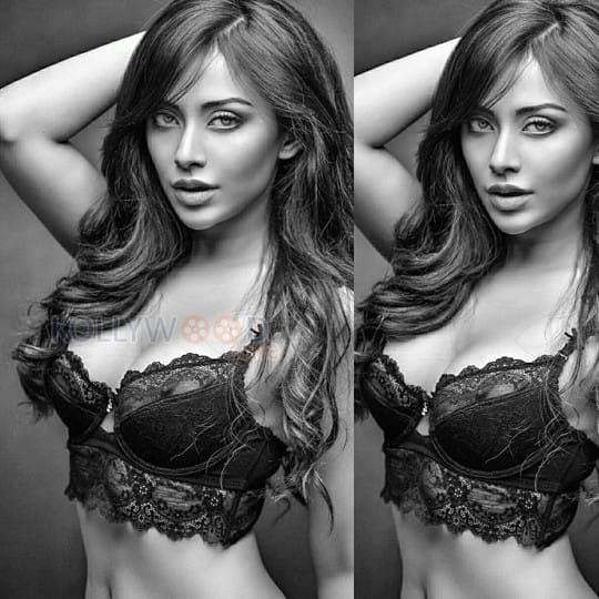 Indian Polish Actress Angela Krislinzki Hot Photos 21