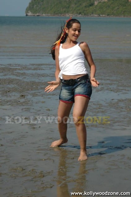 Nisha Kothari Hot Pics 016