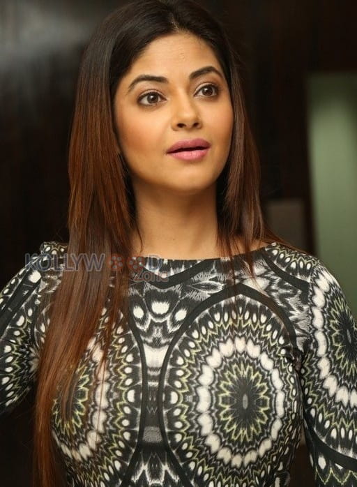 Actress Meera Chopra New Photos 15