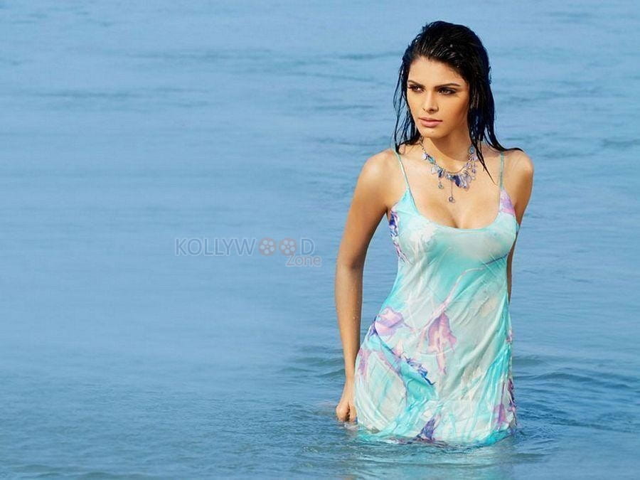 Playboy Model Sherlyn Chopra Sexy Photos 17