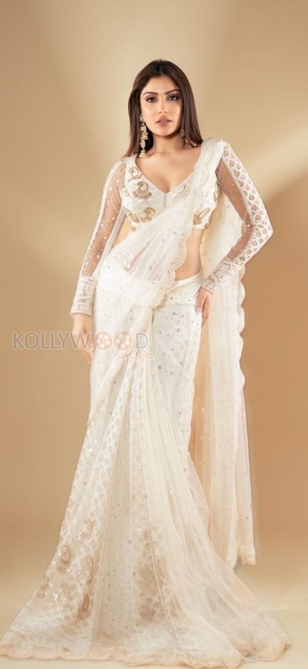 Wild Wild Punjab Actress Ishita Raj in a See Through White Saree Photos 03