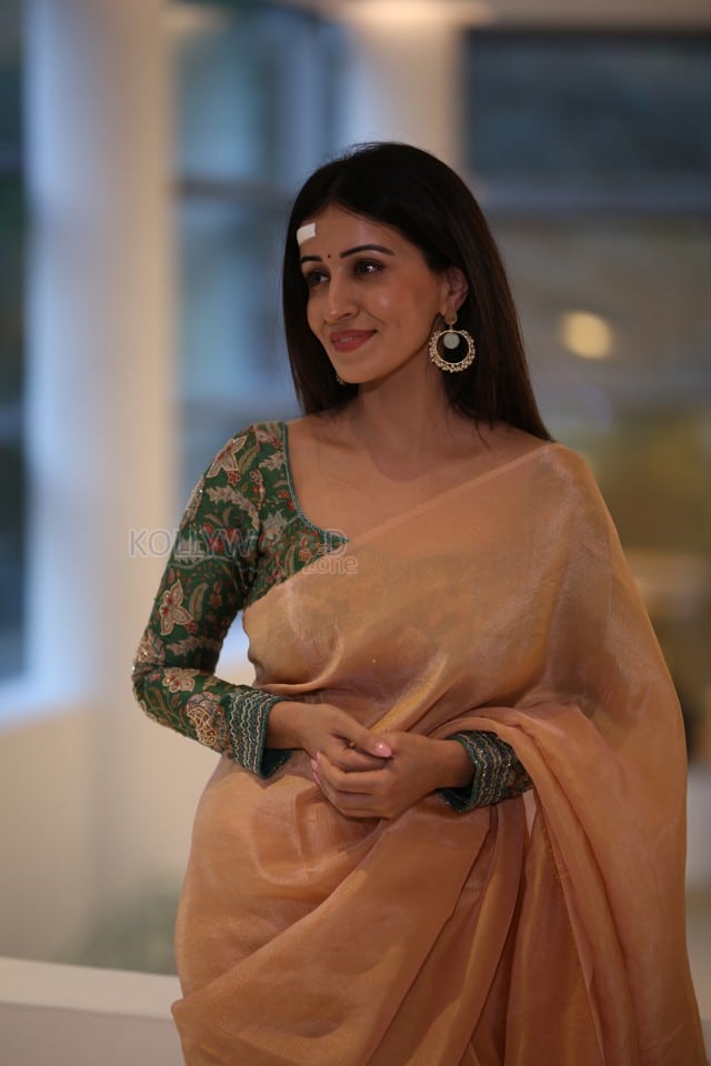 Actress Anshu Ambani at Mazaka Success Meet Pictures 10
