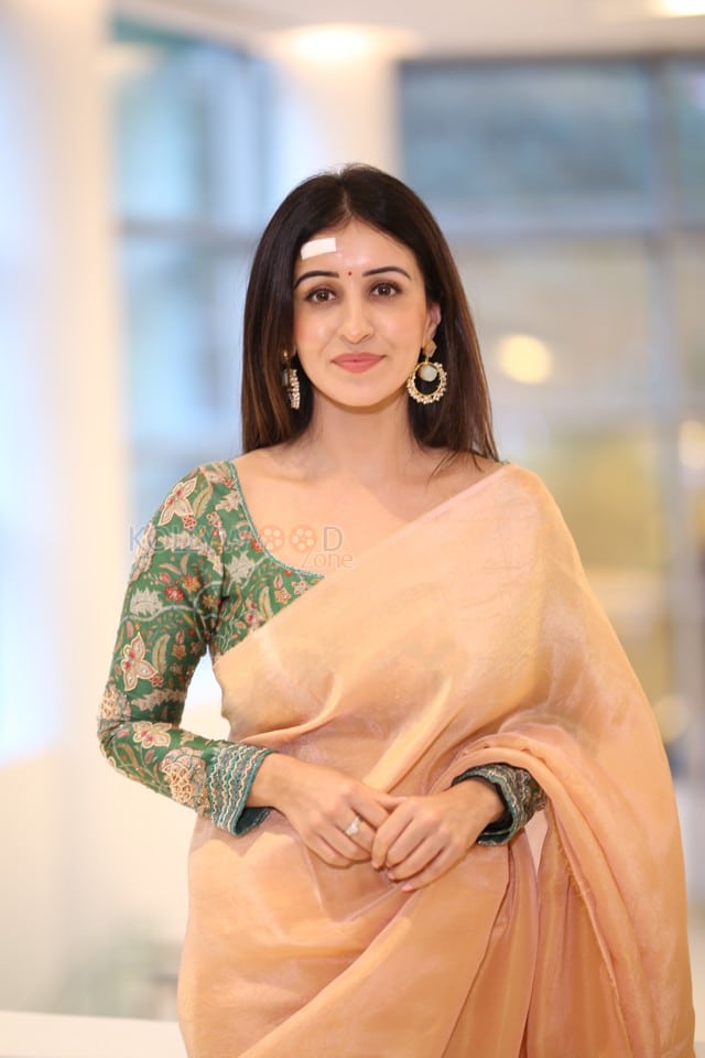 Actress Anshu Ambani at Mazaka Success Meet Pictures 12