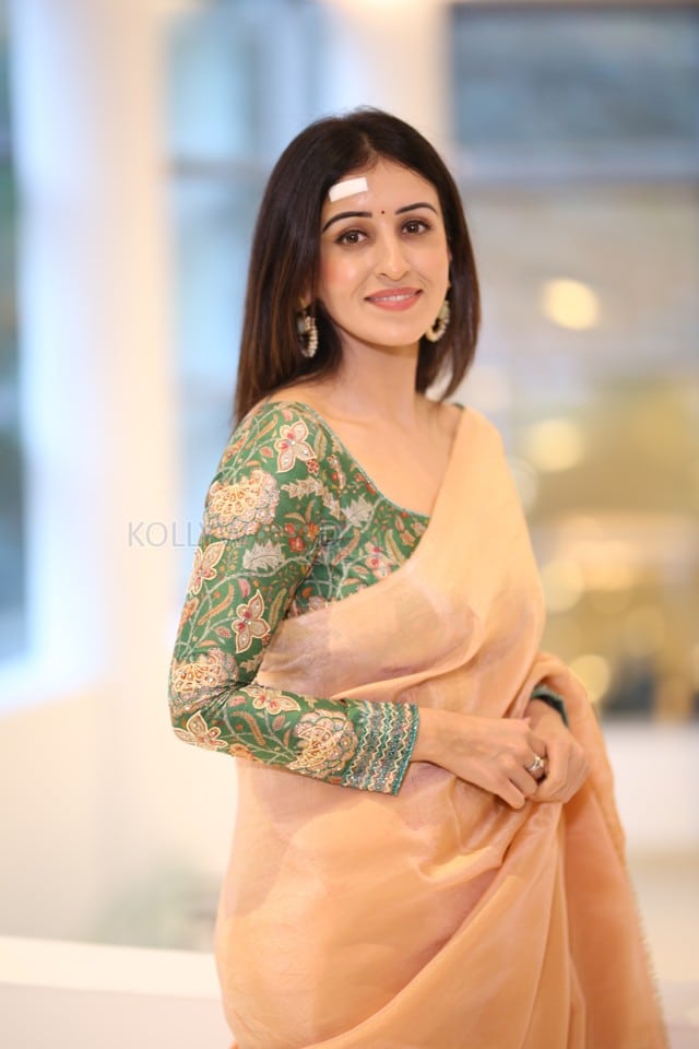 Actress Anshu Ambani at Mazaka Success Meet Pictures 14