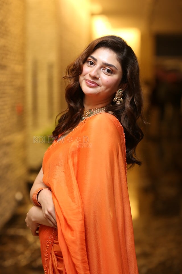 Actress Kathy Davison at Dilruba Pre Release Event Photos 03