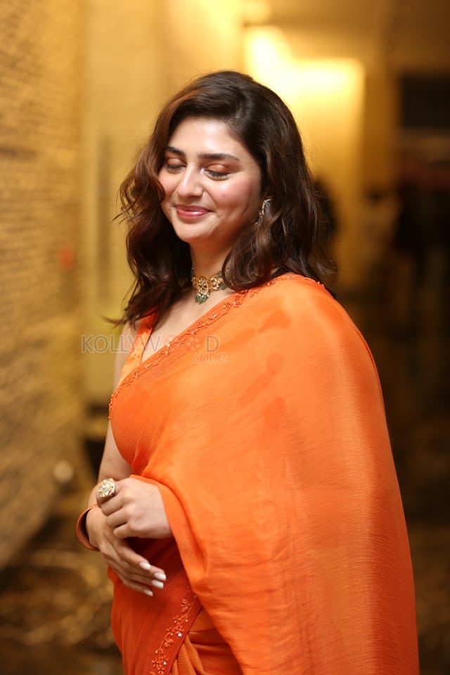 Actress Kathy Davison at Dilruba Pre Release Event Photos 07