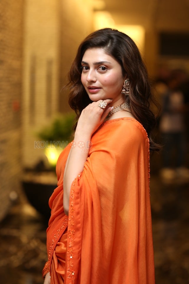 Actress Kathy Davison at Dilruba Pre Release Event Photos 08