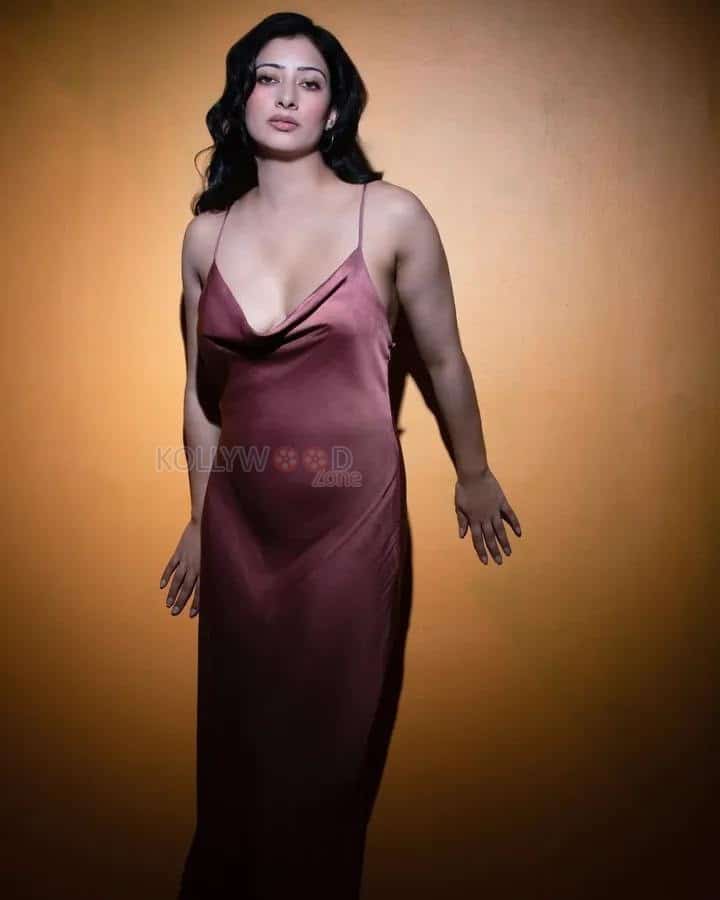 Sexy Niharica Raizada Navel in a Satin Maxi Dress Pictures 01