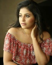 Actress Anjali at Vakeel Saab Movie Interview Photos