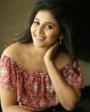 Actress Anjali at Vakeel Saab Movie Interview Photos