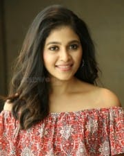 Actress Anjali at Vakeel Saab Movie Interview Photos