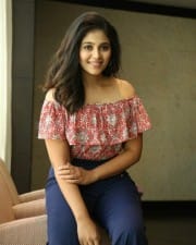 Actress Anjali at Vakeel Saab Movie Interview Photos