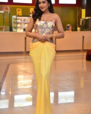 Actress Catherine Tresa at Phani Movie Press Meet Photos 01