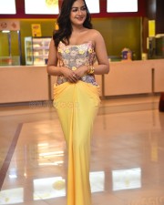 Actress Catherine Tresa at Phani Movie Press Meet Photos 02