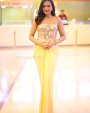 Actress Catherine Tresa at Phani Movie Press Meet Photos 26