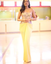 Actress Catherine Tresa at Phani Movie Press Meet Photos 27